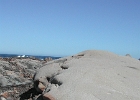 DSCN0576