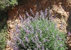 DSCN0604