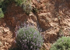 DSCN0608