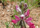 DSCN0625
