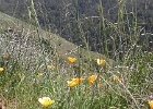 DSCN0626
