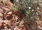 DSCN0638