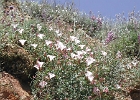 DSCN0639