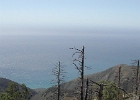 DSCN0648