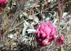 DSCN0654