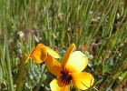 DSCN0660