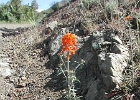 DSCN0669