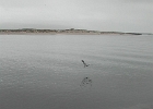 DSCN0687