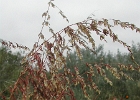 DSCN0693
