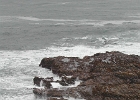 DSCN0707