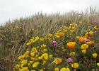 DSCN0715