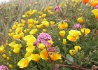 DSCN0716