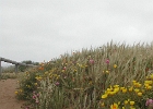 DSCN0718