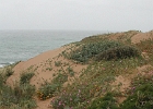 DSCN0727