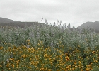 DSCN0729