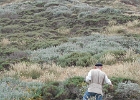 DSCN0733