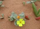 DSCN0735