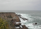 DSCN0764