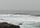 DSCN0775