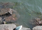 DSCN0793