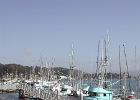 DSCN0798