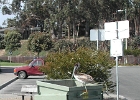 DSCN0803