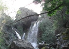 DSCN0811