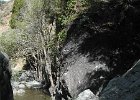 DSCN0815