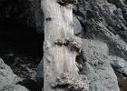 DSCN0818