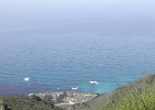 DSCN0822