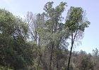 DSCN0843