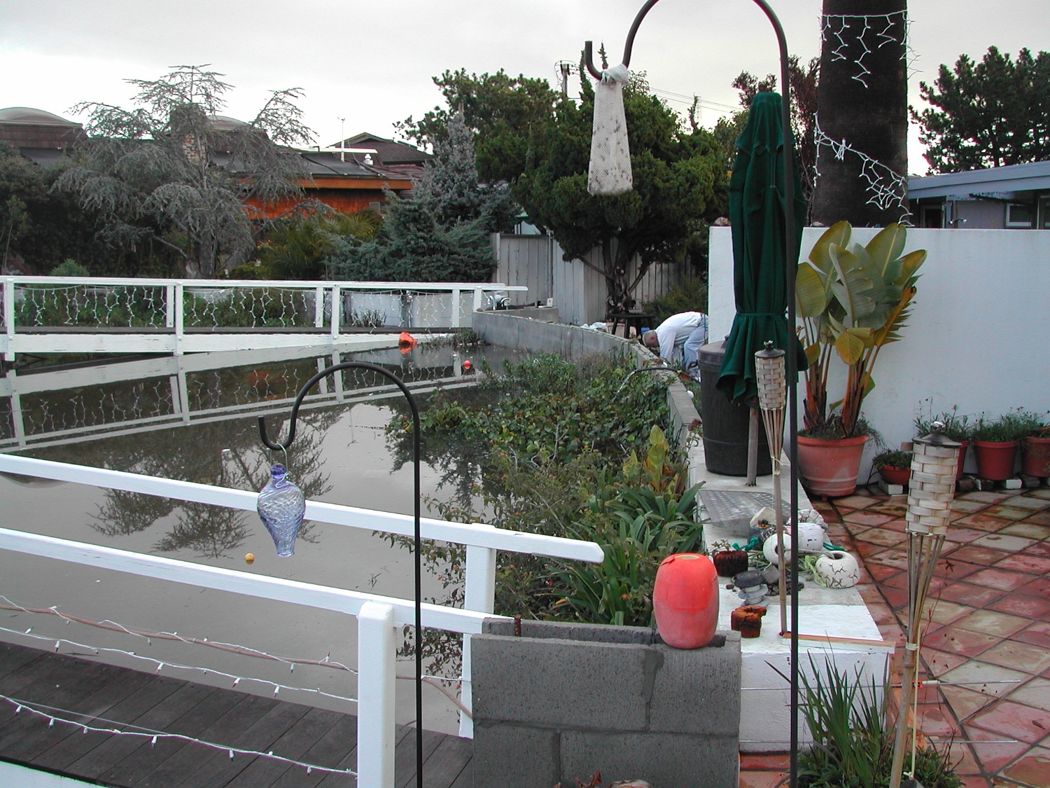 Flood-Day-2.2005-01-09 002