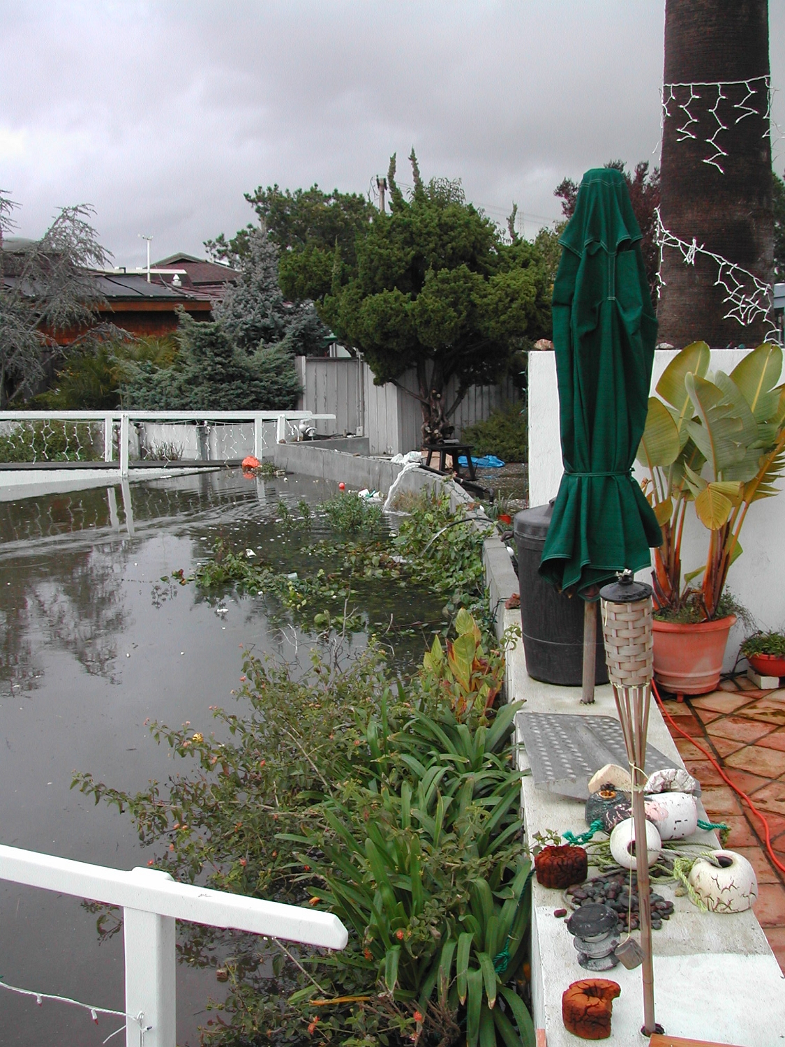 Flood-Day-2.2005-01-09 017