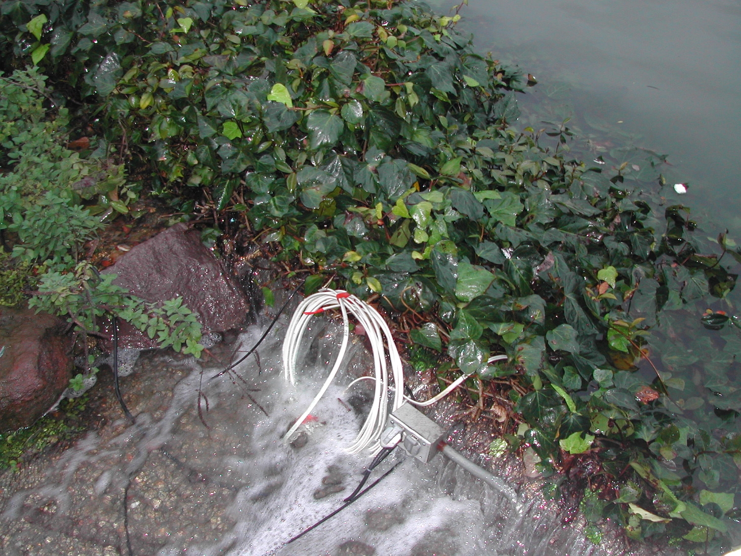 Flood-Day-1.2005-01-07 024