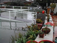 Flood-Day-1.2005-01-07 023
