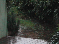Flood-Day-1.2005-01-07 037