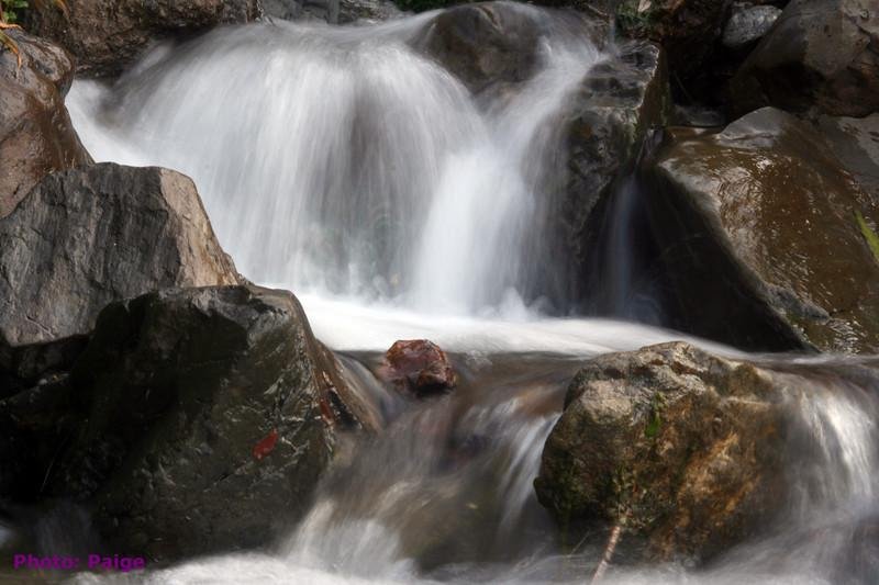 creek2.jpg