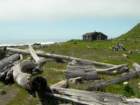lostcoast029_small.jpg