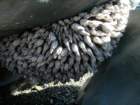 lostcoast045_small.jpg