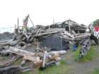lostcoast084_small.jpg