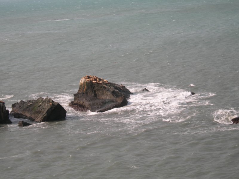 lostcoast094.jpg