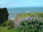 lostcoast110_small.jpg