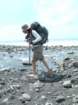 lostcoast137_small.jpg