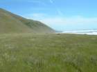 lostcoast151_small.jpg
