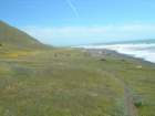 lostcoast155_small.jpg
