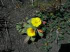 lostcoast297_small.jpg