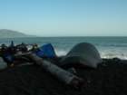 lostcoast333_small.jpg