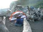 lostcoast339_small.jpg