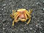 lostcoast401_small.jpg