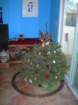 christmas024_small.jpg